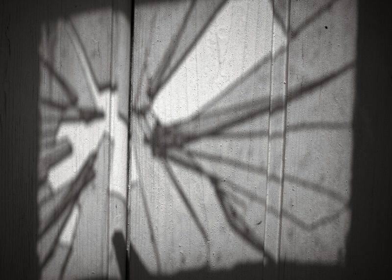 R0016648_small.jpg