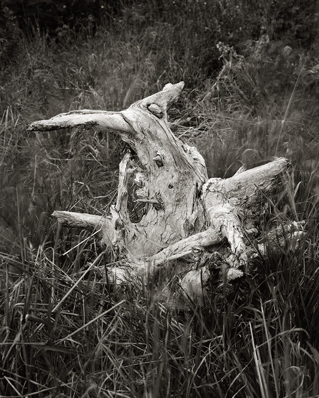 GF_238.jpg